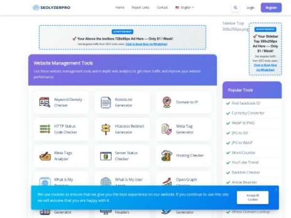 seolyzerpro.com